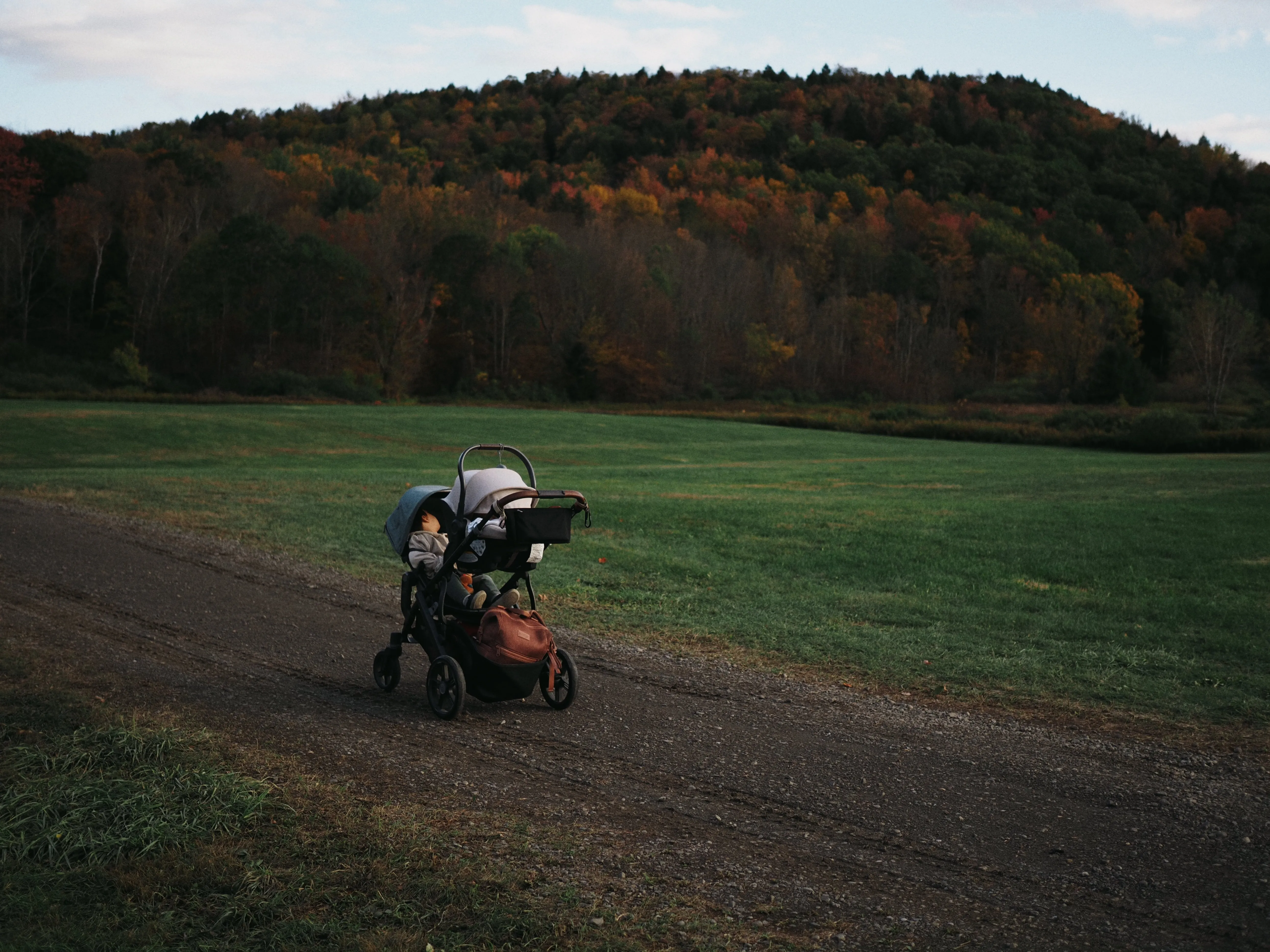 Field, Late Fall